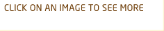CLICK ON AN IMAGE TO SEE MORE